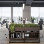 Modern and Eco-Friendly Office Interior Design with Natural Light and Green Plants