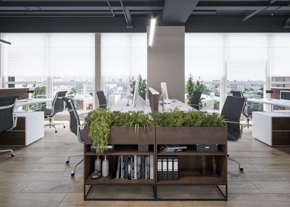 Modern and Eco-Friendly Office Interior Design with Natural Light and Green Plants